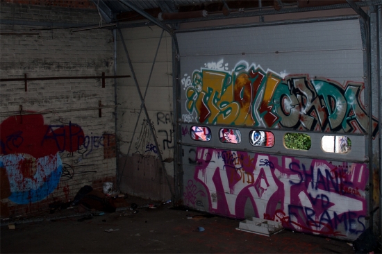 IMG_7524_900.jpg